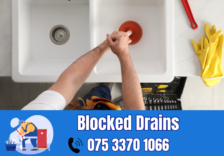 blocked drains Belvedere
