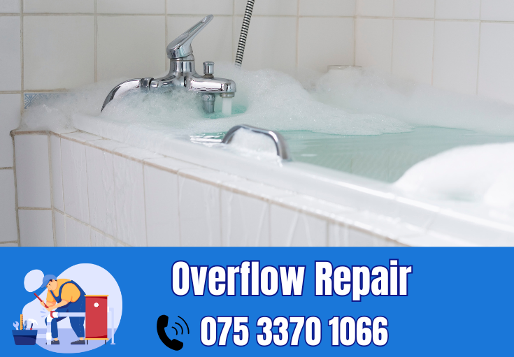 overflow repair Belvedere