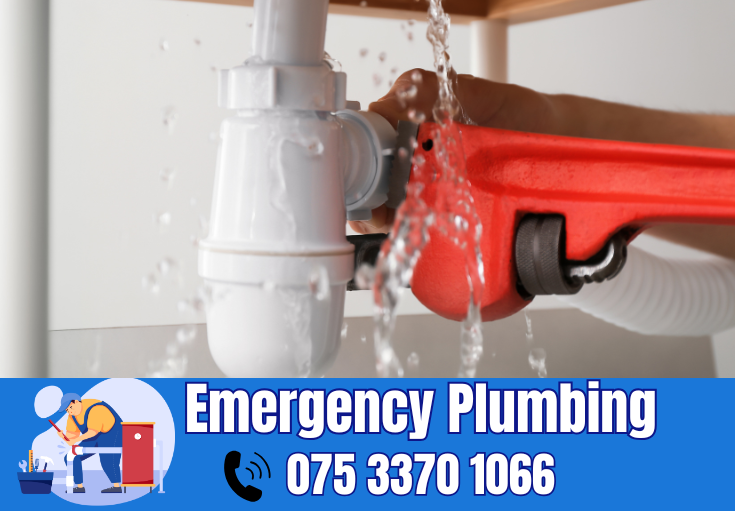  plumber Lessness Heath